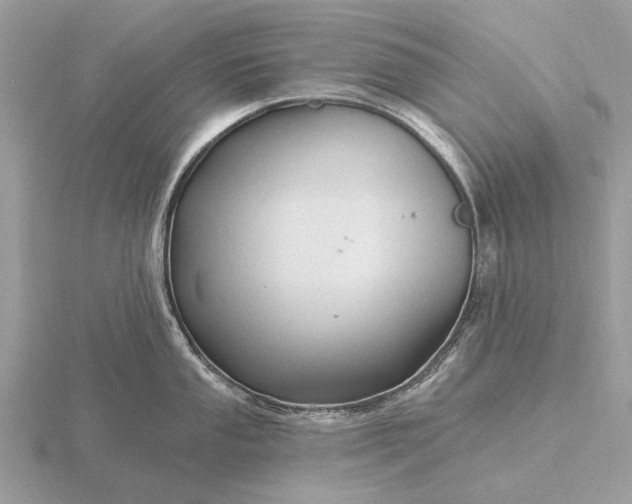 X0000116281053200912141345