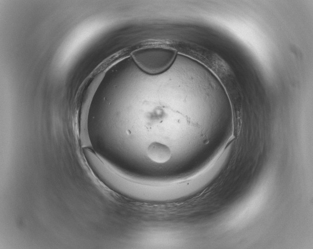 X0000116281054200912141345