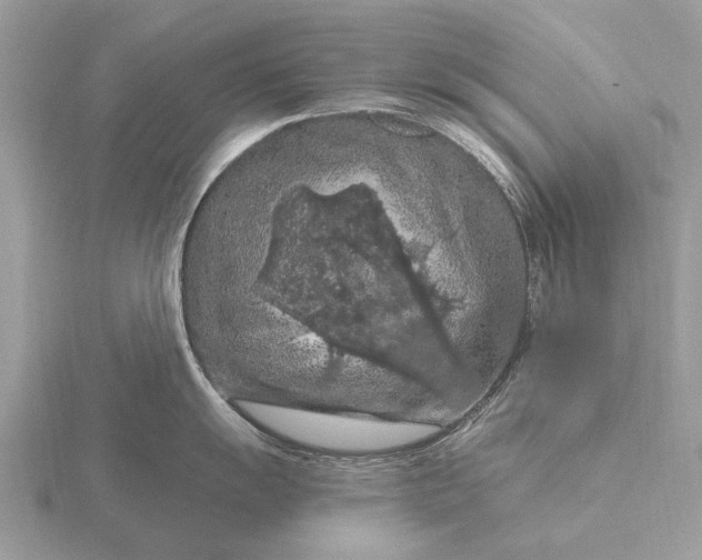 X0000116281055200912141345