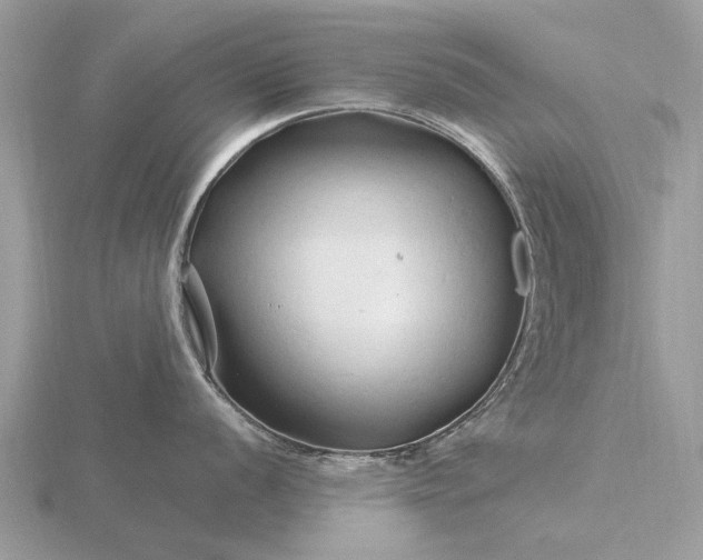 X0000116281056200912141345