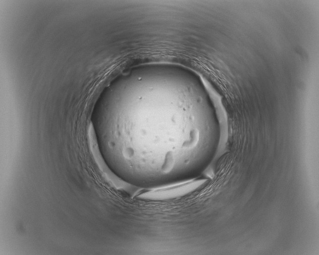 X0000116281057200912141344