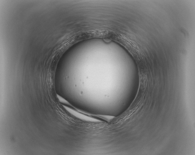 X0000116281058200912141344