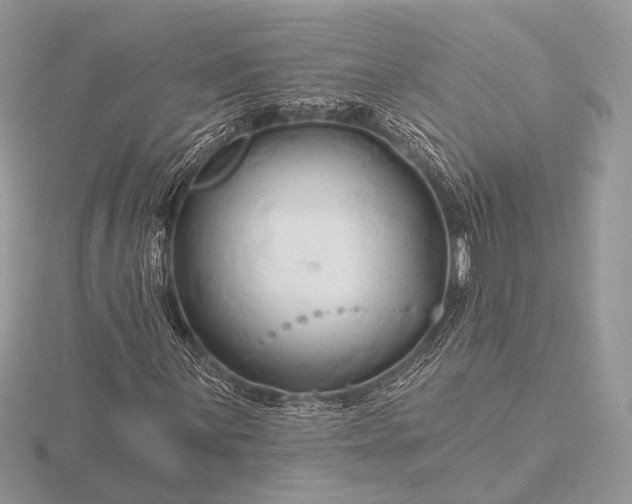 X0000116281059200912141344