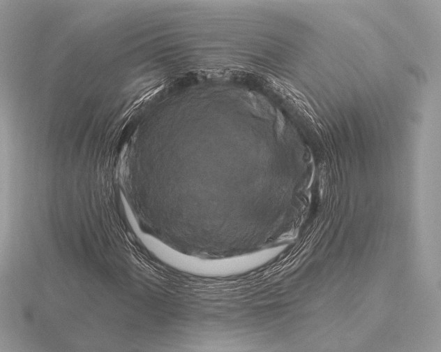 X0000116281060200912141344