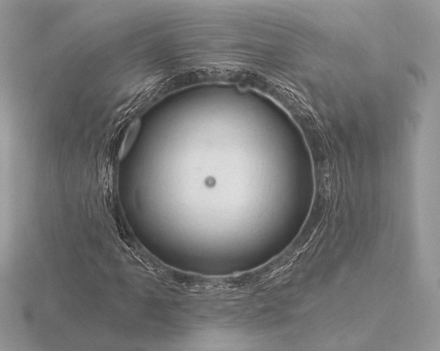 X0000116281061200912141344