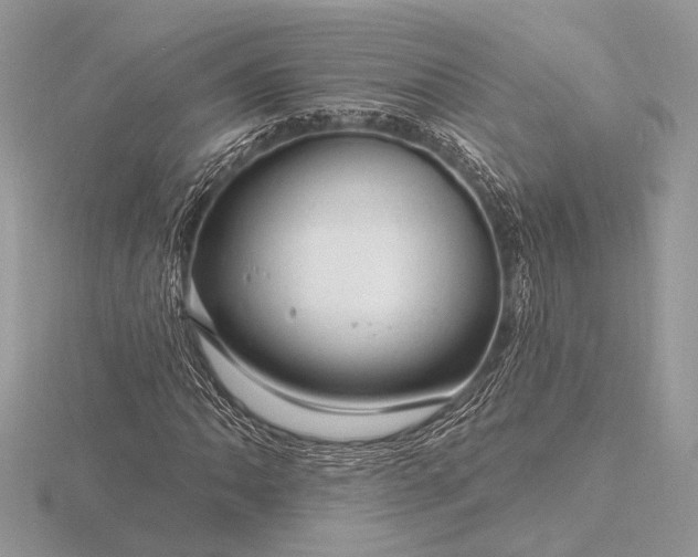 X0000116281062200912141344