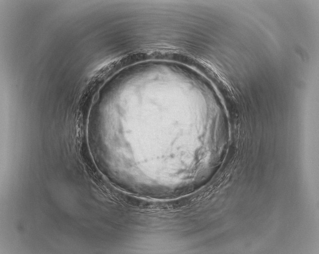 X0000116281063200912141344