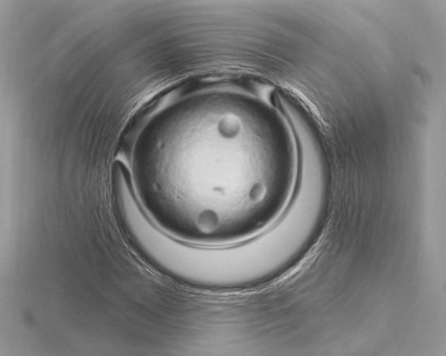 X0000116281065200912141344