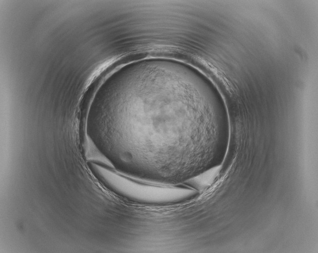 X0000116281066200912141344