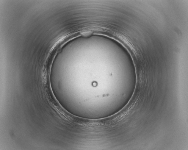 X0000116281067200912141344