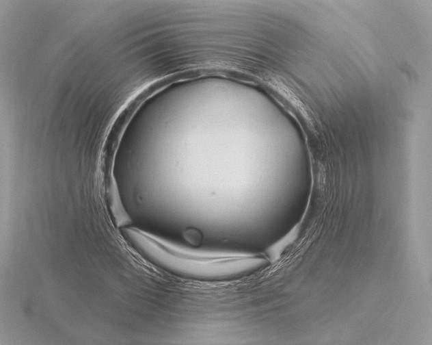 X0000116281068200912141344