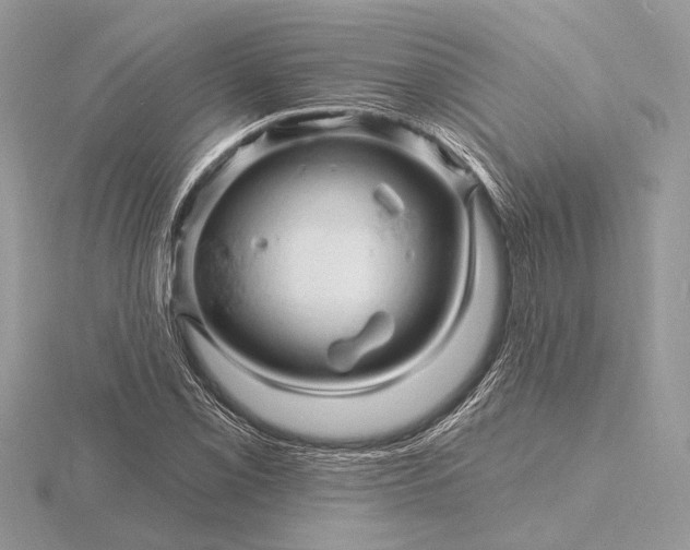 X0000116281069200912141344