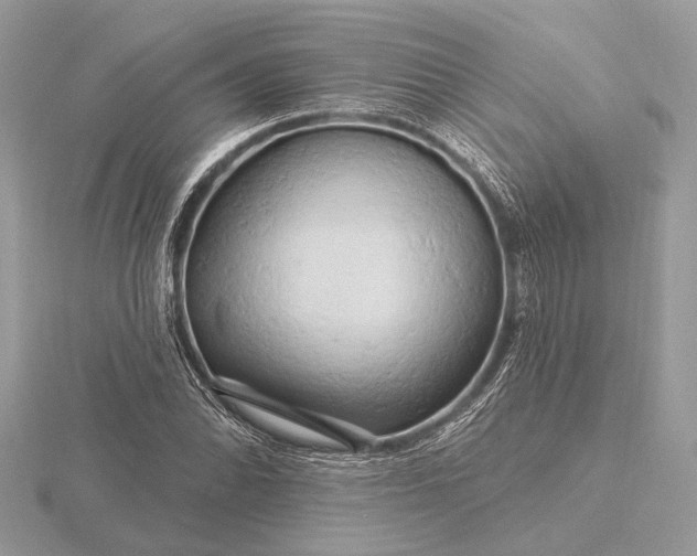 X0000116281070200912141344