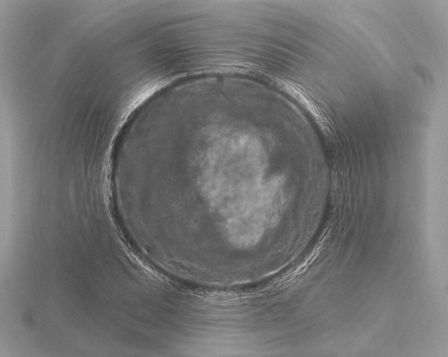 X0000116281071200912141344