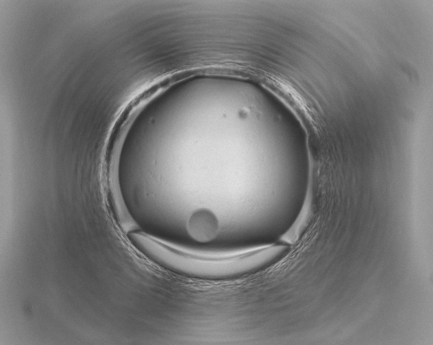 X0000116281072200912141344