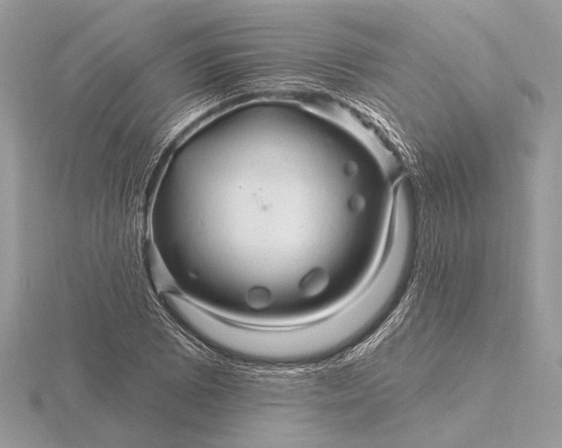 X0000116281073200912141344