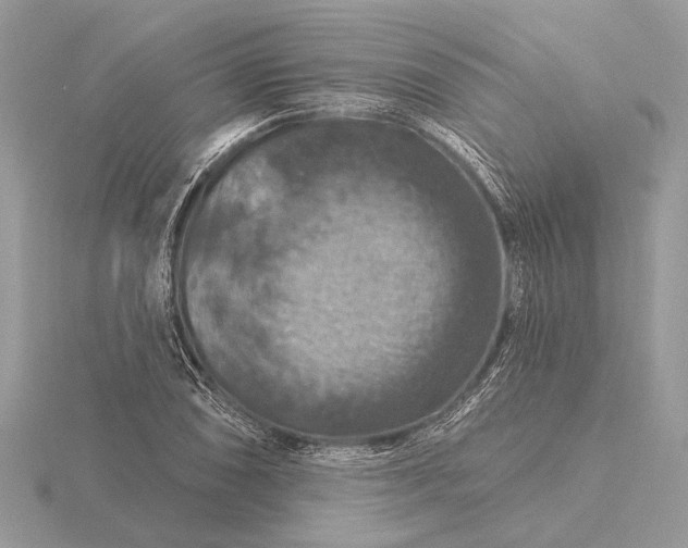 X0000116281074200912141344