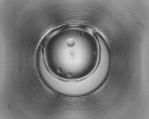 X0000116281075200912141344