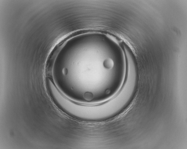 X0000116281077200912141344