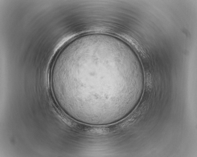 X0000116281078200912141344