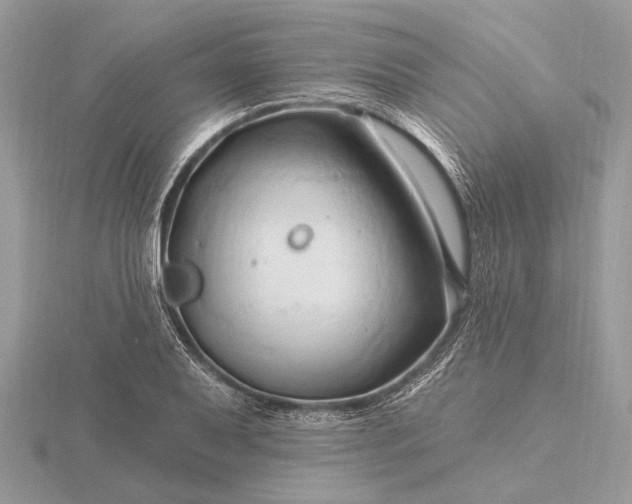 X0000116281079200912141344