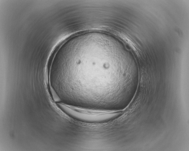 X0000116281080200912141344