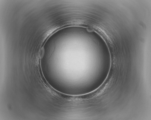 X0000116281081200912141344