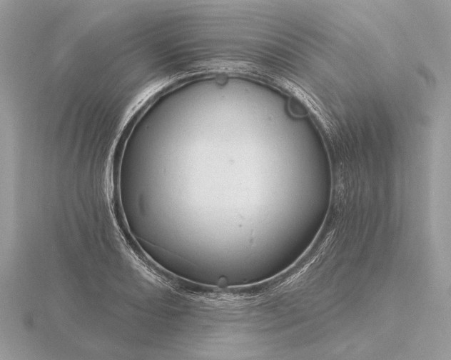 X0000116281082200912141344