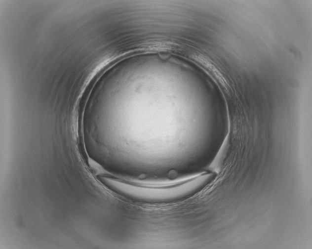 X0000116281083200912141344