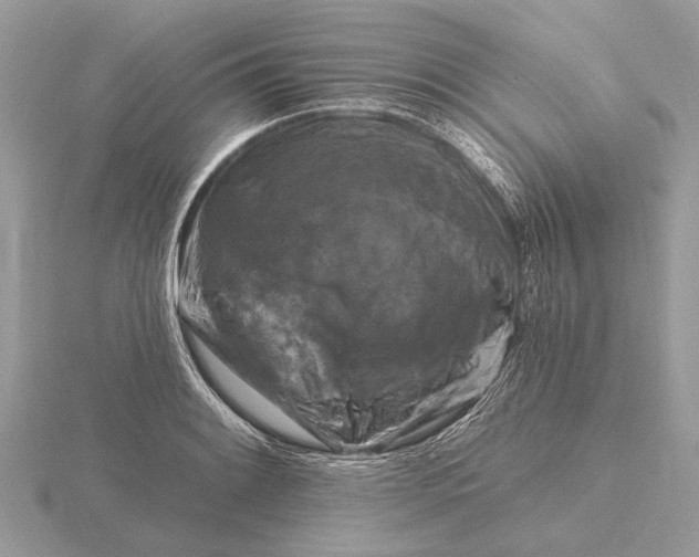 X0000116281084200912141344