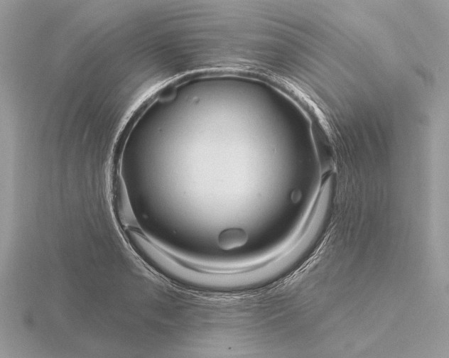 X0000116281085200912141344