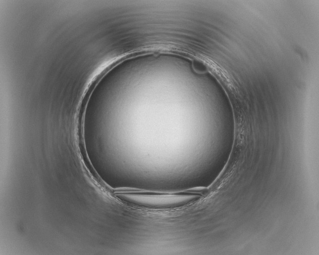 X0000116281086200912141344