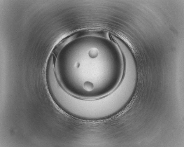 X0000116281087200912141344