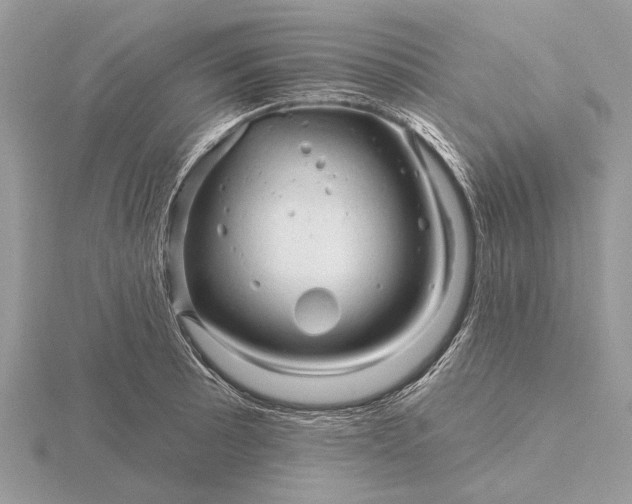 X0000116281089200912141344