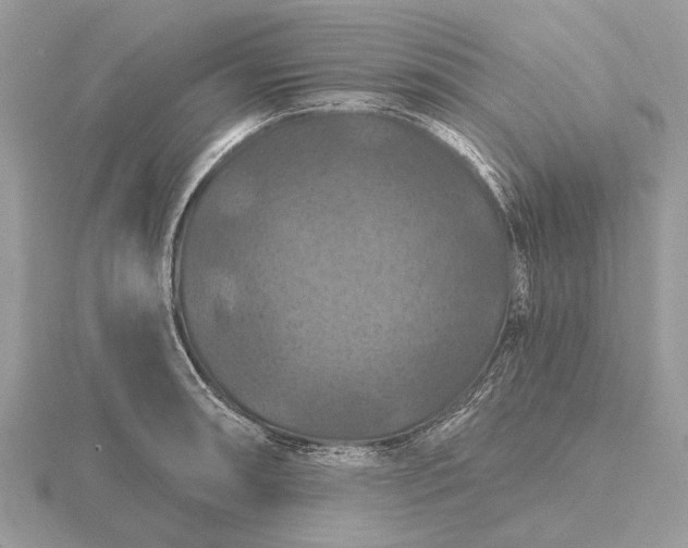 X0000116281090200912141344