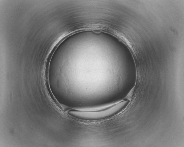 X0000116281091200912141344