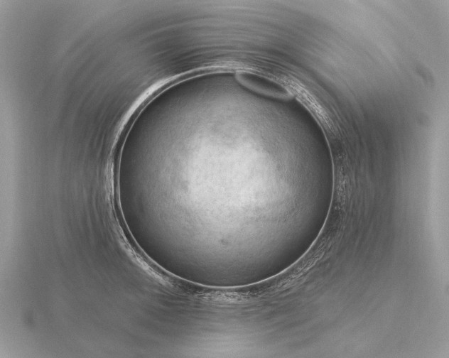 X0000116281092200912141343