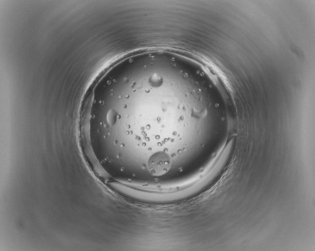 X0000116281093200912141343