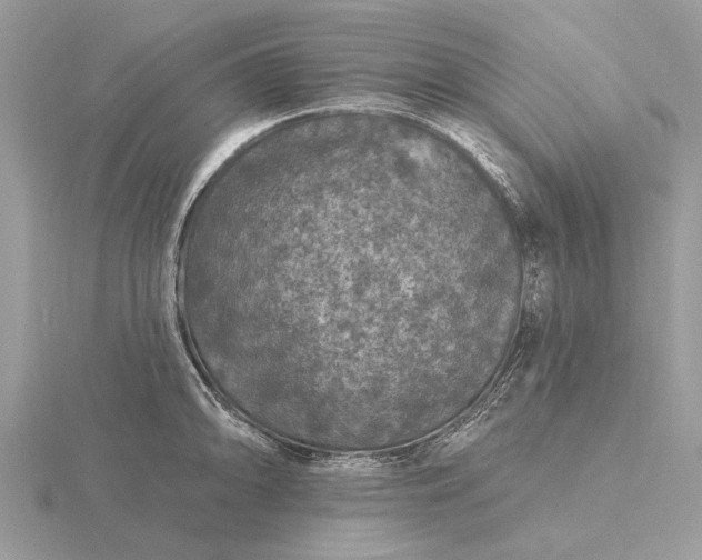 X0000116281094200912141343