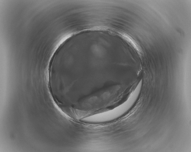 X0000116281095200912141343