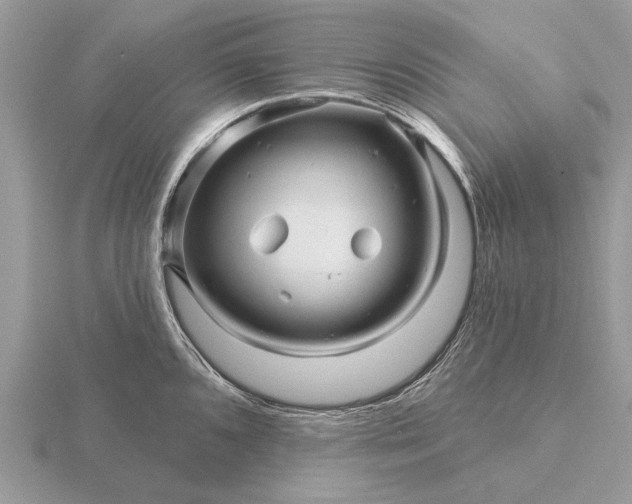 X0000116281096200912141343