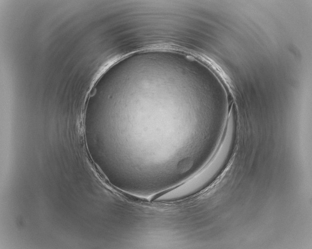 X0000116281097200912141343