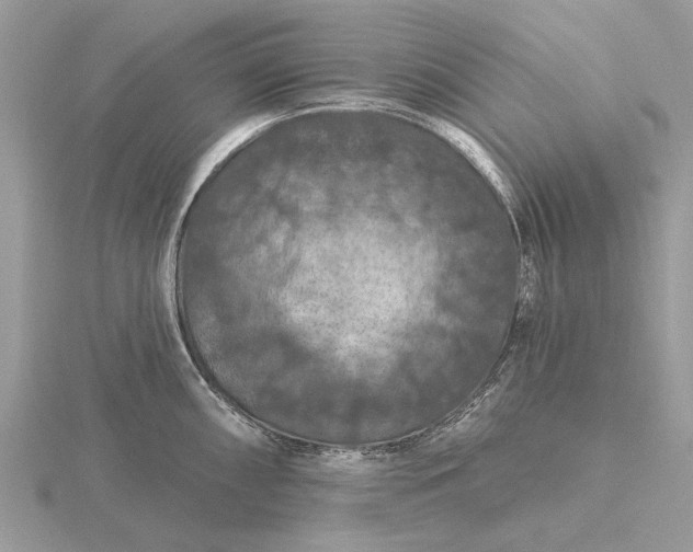 X0000116281098200912141343