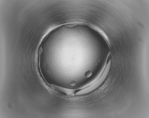 X0000116281099200912141343