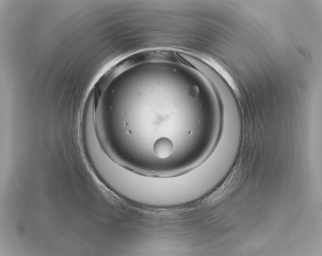 X0000116281101200912141343