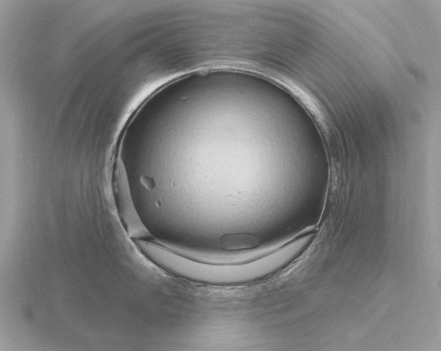 X0000116281102200912141343