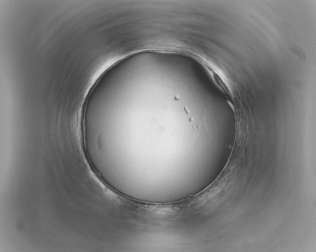 X0000116281103200912141343