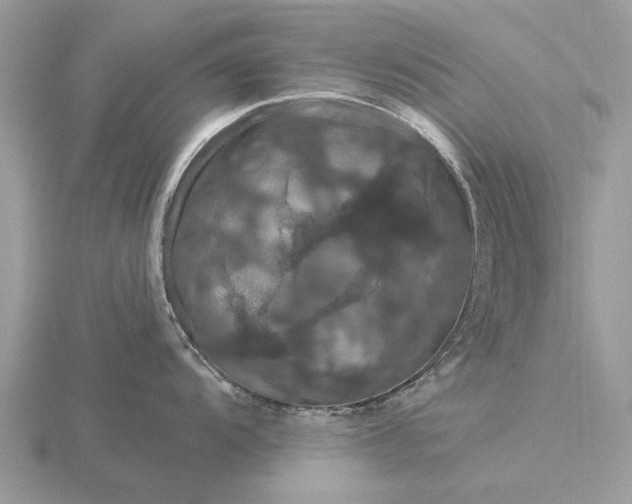 X0000116281104200912141343