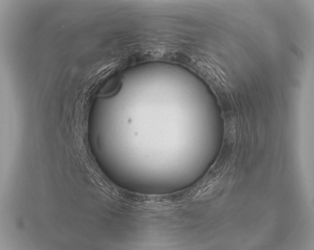 X0000116281105200912141343