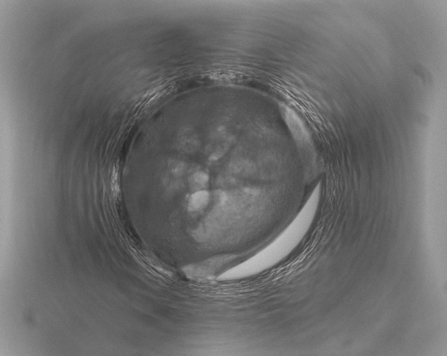 X0000116281106200912141343